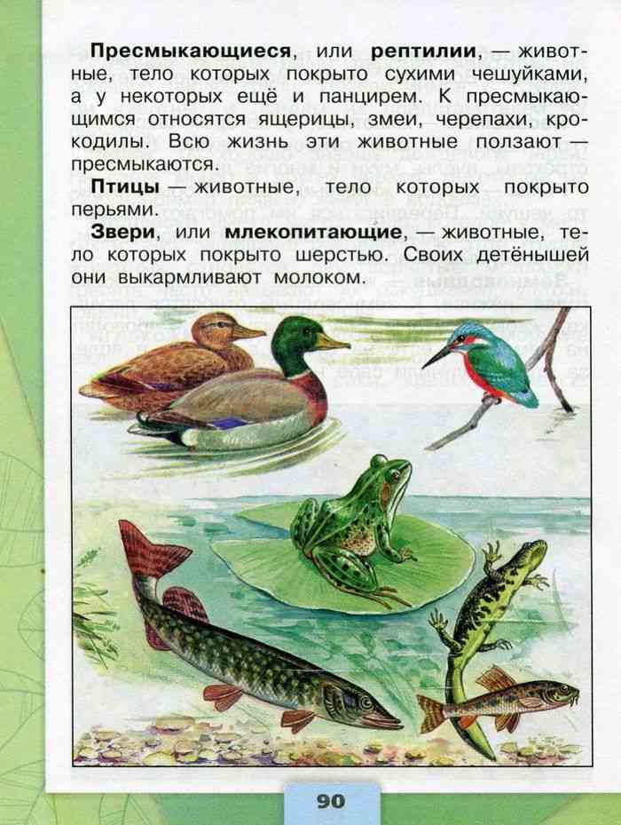 Учебник Окружающий мир 3 класс Плешаков часть 1 читать онлайн